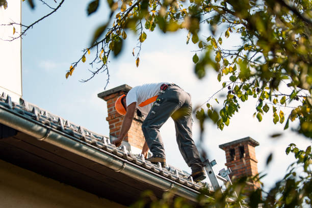 Best Rubber Roofing (EPDM, TPO)  in Leipsic, OH