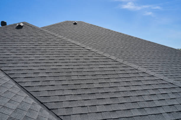 Best Roof Moss and Algae Removal  in Leipsic, OH